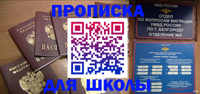 прописка гарантия в Светлограде